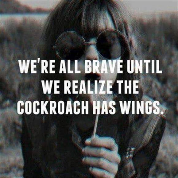 Meet your Posher, Lori - Picture 1 of 1